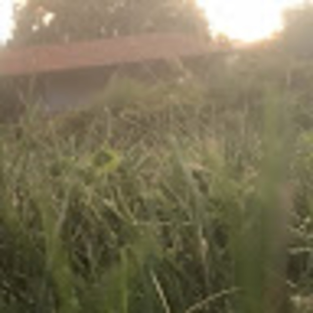 Meet your Posher, Trevor